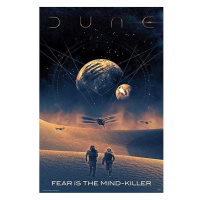 Plakát Dune - Fear is the mind-killer