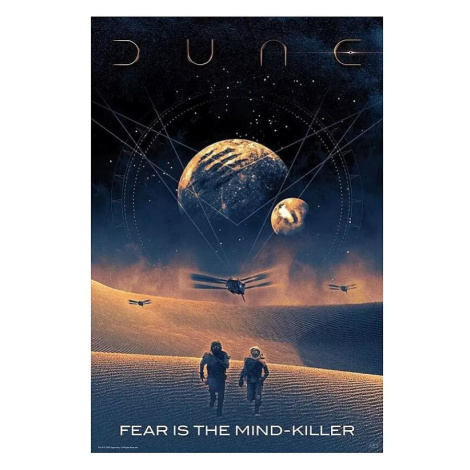 Plakát Dune - Fear is the mind-killer ABY STYLE