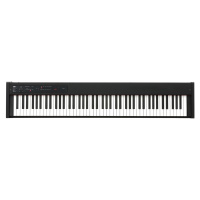 Korg D1 Digitální stage piano Black