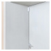 Ajax DoorProtect Plus white (9999)