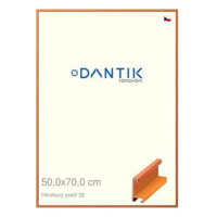 DANTIK rámeček 50 × 70, ALU profil 6035 Dýha barevný oranžový plexi čiré