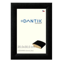 DANTIK rámeček 20 × 30, LEDVINKA černý sklo čiré