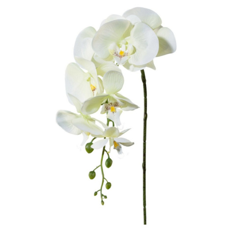 Umělá Orchidej bílá, 86 cm 305303-50