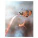Fotografie The Butterfly, Fauzan Maududdin, 30x40 cm