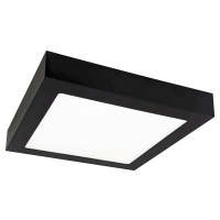 LED60 FENIX-S Black 12W NW