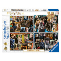 RAVENSBURGER - Harry Potter set 4x100 dílků