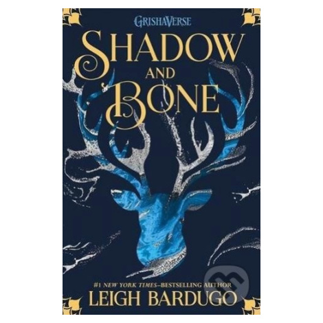 Shadow and Bone - Leigh Bardugo - kniha z kategorie Beletrie pro děti Orion