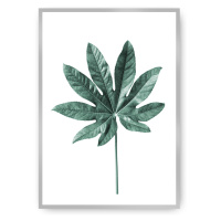 Dekoria Plakát  Leaf Emerald Green, 50 x 70 cm, Ramka: Srebrna