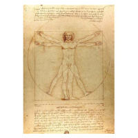 Enjoy Vitruviánský muž 1000 dílků