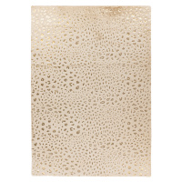 Obsession koberce Kusový koberec My Safari 165 Cream - 120x170 cm