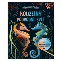 Vyškrabávací obrázky: Kouzelný podvodní svět