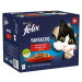 Felix Fantastic s kuřetem hovězím králíkem a jehněčím v želé 24 x 85 g