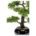 Emerald Umělý fíkus mini bonsai zelený 47 cm 420006