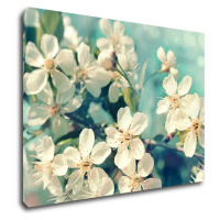 Impresi Obraz Třešňový květ modré pozadí - 60 x 40 cm