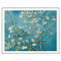 Obraz 40x50 cm Van Gogh: Almond Blossoms