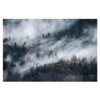 Fotografie A path of the fog, Tomomi Yamada, (40 x 26.7 cm)