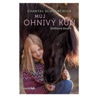 Můj ohnivý kůň 2 – Sněhová bouře