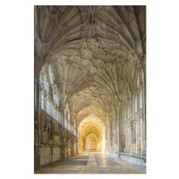 Umělecká fotografie Fan vaulting in Gloucester cathedral cloister., Julian Elliott Photography, 