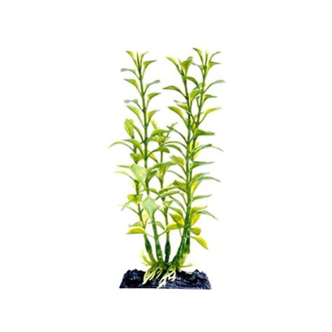 Penn Plax Blooming Ludwigia Green 18 cm