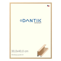 DANTIK rámeček 30 × 40, ALU profil 6001 Zlatý lesklý plexi čiré