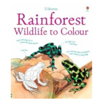 Rainforest wildlife to colour Usborne Publishing