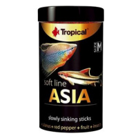 Tropical Asia M 100 ml 40 g