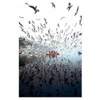 Fotografie Limitless at Yamuna Ghat, Arun R Hegden, 26.7 × 40 cm