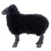 KARE Design Soška Ovce - černá, 54cm