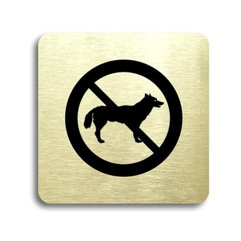 Accept Piktogram "zákaz vstupu se psem" (80 × 80 mm) (zlatá tabulka - černý tisk bez rámečku)