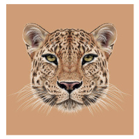 Fotografie Illustrative Portrait of Leopard, ant_art, 40 × 40 cm