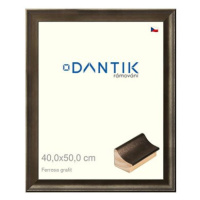 DANTIK rámeček 40 × 50, Ferrosa grafit sklo čiré