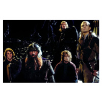 Fotografie The Fellowship of the Ring, (40 x 26.7 cm)