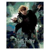 Plakát Harry Potter a relikvie smrti Ron, 40×50 cm, bez rámu a bez vypnutí plátna