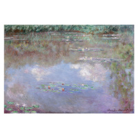 Obrazová reprodukce Waterlilies (1910), Claude Monet, 40 × 26.7 cm