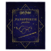 Harry Potter: Panoptikum postav - Jody Revensonová