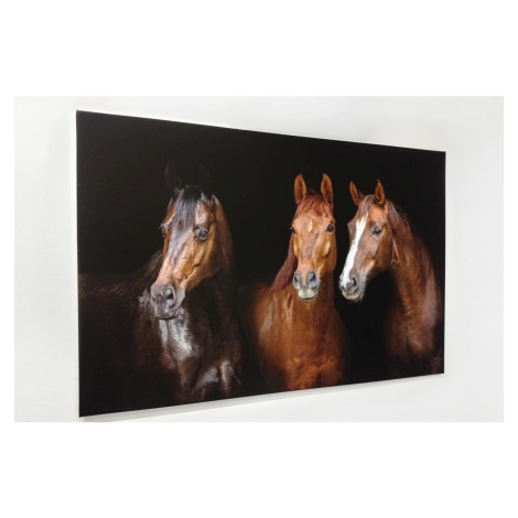 Fotoobraz 150x100 cm z vlastní fotografie, Plátno 100% bavlna: Premium Canvas 390g/m², S lakován