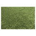 Lano - koberce a trávy Neušpinitelný kusový koberec Nano Smart 591 zelený - 300x400 cm