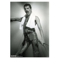 Plakát, Obraz - Queen (Freddie Mercury) - Live On Stage, 59.4x84 cm