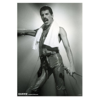 Plakát, Obraz - Queen (Freddie Mercury) - Live On Stage, 59.4 × 84 cm