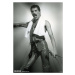 Plakát, Obraz - Queen (Freddie Mercury) - Live On Stage, (59.4 x 84 cm)