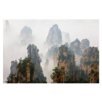 Fotografie China, Hunan, Zhangjijie, Mount Tianzi in fog, Peter Adams, 40 × 26.7 cm