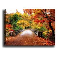 Obraz Tablo Center Autumn Bridge, 70 x 50 cm