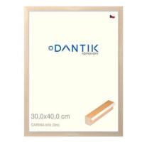 DANTIK rámeček 30 × 40, CARINA Bílý plexi čiré