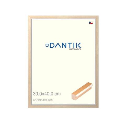 DANTIK rámeček 30 × 40, CARINA Bílý plexi čiré