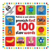 Prvních 100 slov / First 100 words - Podívej se pod obrázek Svojtka & Co. s. r. o.