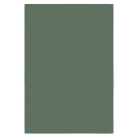 Flair Rugs koberce Kusový koberec Softie Lilypad - 120x170 cm