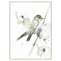 Obraz 50x70 cm Bird – Malerifabrikken