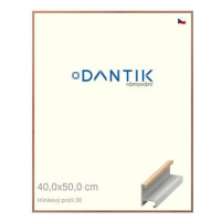 DANTIK rámeček 40 × 50, ALU profil 6030 Dýha dub lak matný sklo čiré