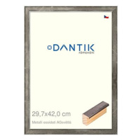 DANTIK rámeček 29,7 × 42, Metalli oidati AGsvětlý plexi čiré