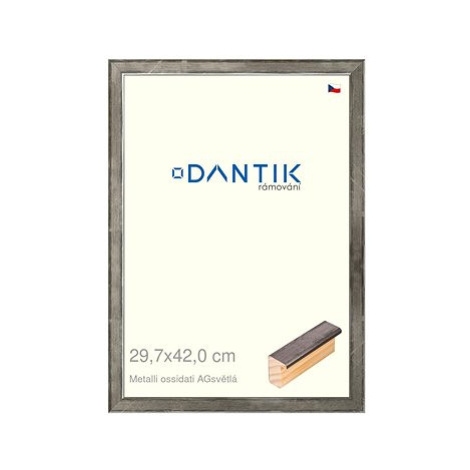 DANTIK rámeček 29,7 × 42, Metalli oidati AGsvětlý plexi čiré